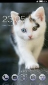 Kitten CLauncher Android Mobile Phone Theme