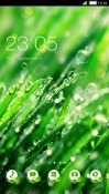 Dew Drops CLauncher LG Optimus G Pro Theme