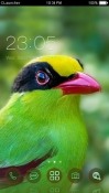 Green Magpie CLauncher Android Mobile Phone Theme