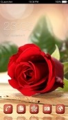 Red Rose CLauncher Android Mobile Phone Theme