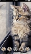 Kitten CLauncher Android Mobile Phone Theme