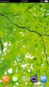 Green Leaves CLauncher Samsung Galaxy Rush M830 Theme