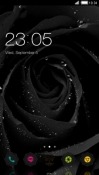 Black Rose CLauncher Android Mobile Phone Theme