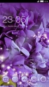 Purple Flowers CLauncher Android Mobile Phone Theme