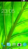 Green Leaf CLauncher Android Mobile Phone Theme