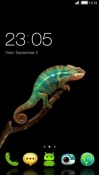 Chameleon CLauncher Android Mobile Phone Theme