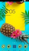 Summer CLauncher Android Mobile Phone Theme