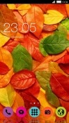 Autumn Leaves CLauncher Android Mobile Phone Theme