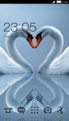 Swan Love CLauncher Android Mobile Phone Theme