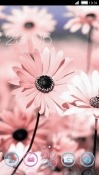 Daisy CLauncher Android Mobile Phone Theme