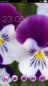 Purple Flowers CLauncher Android Mobile Phone Theme