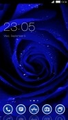 Blue Rose CLauncher Android Mobile Phone Theme