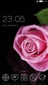 Pink Flower CLauncher HTC One V Theme