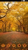 Autumn CLauncher Android Mobile Phone Theme
