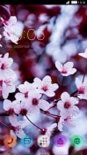 Flowers CLauncher Samsung I9300 Galaxy S III Theme