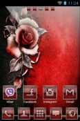 Red Rose Go Launcher Tecno Spark 7T Theme