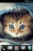 Kitten Go Launcher Oppo A15s Theme