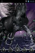 Black Horse Go Launcher ZTE nubia X 5G Theme