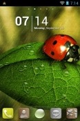 Ladybug Go Launcher HTC One M9s Theme