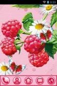 Berries Go Launcher Panasonic Eluga I7 Theme