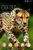 Cheetah CLauncher Oppo A54s Theme