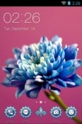 Beautiful Flower CLauncher Android Mobile Phone Theme