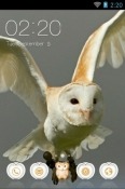 Barn Owl CLauncher Vivo Y21e Theme