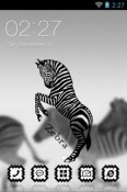 Zebra CLauncher Vivo Y15s Theme