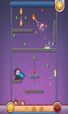 Hamster Cannon Android Game Image 2