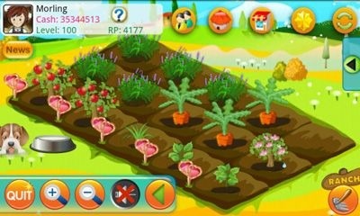 Papaya Farm Android Game Image 1