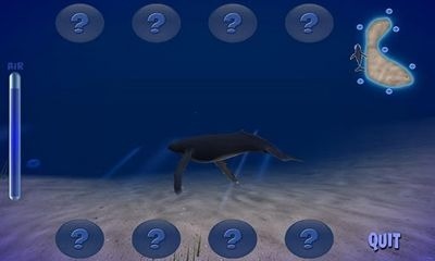 Humpback Whale Android Game Image 1