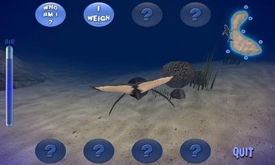 Humpback Whale Android Game Image 2