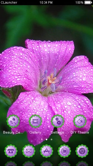 Dew Drops on Flower CLauncher Android Theme Image 1