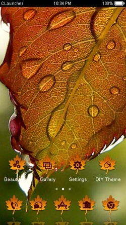 Dew Drops on Leaves CLauncher Android Theme Image 1