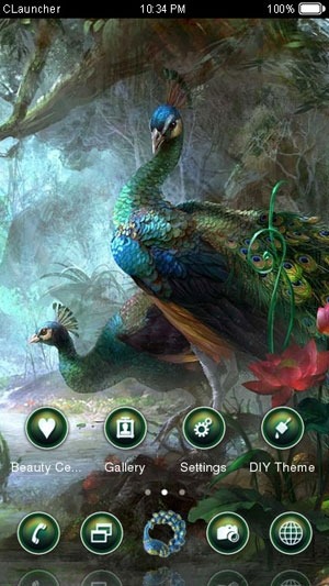 Beautiful Peacock CLauncher Android Theme Image 1