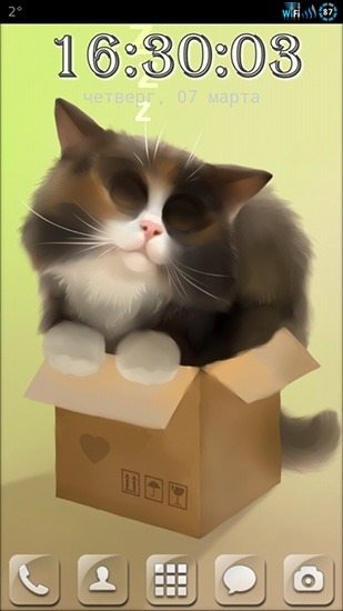 Cat In The Box Android Wallpaper Image 2
