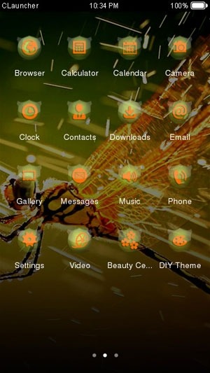 Dragonfly CLauncher Android Theme Image 2