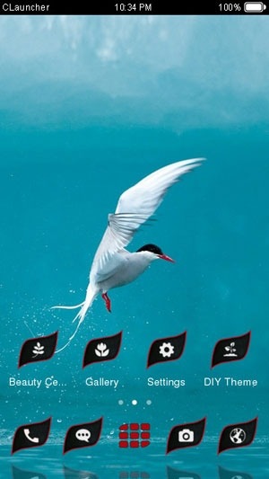 Red Billed Seabird CLauncher Android Theme Image 1