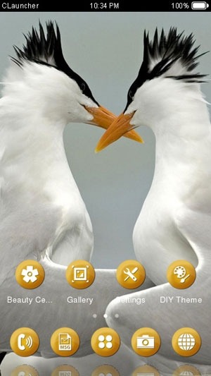 Arctic Tern CLauncher Android Theme Image 1