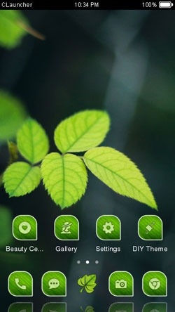 Beautiful Leaf CLauncher Android Theme Image 1