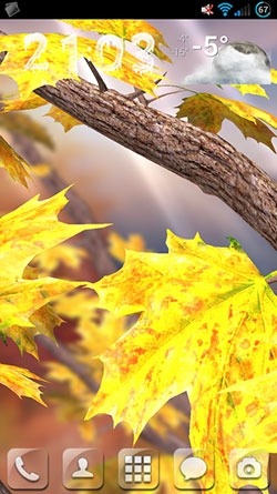 Autumn Tree Android Wallpaper Image 1
