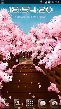 Sakura&#039;s bridge Android Wallpaper Image 1