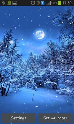 Winter Forest Android Wallpaper Image 1