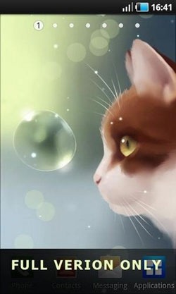 Curious Cat Android Wallpaper Image 1