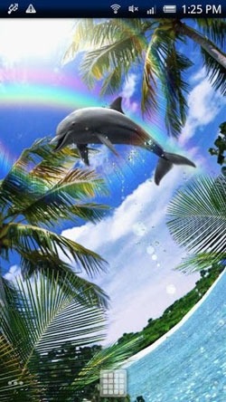 Dolphin Blue Android Wallpaper Image 2