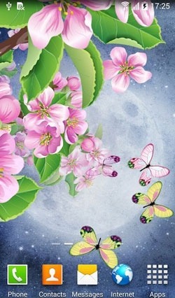 Night Sakura Android Wallpaper Image 2