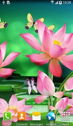 Lotus Android Wallpaper Image 1