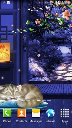 Sleeping Kitten Android Wallpaper Image 1