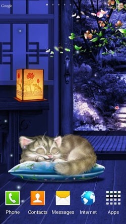 Sleeping Kitten Android Wallpaper Image 2