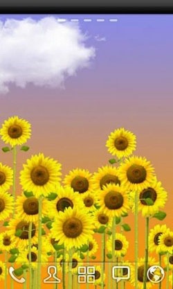 Sunflowers Android Wallpaper Image 1